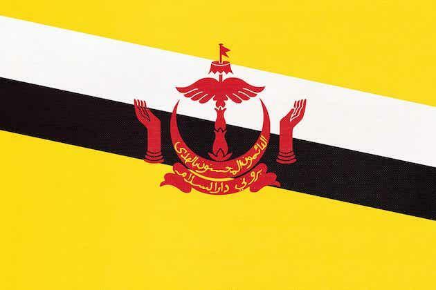 Brunei jumps 5 places in latest global innovation ranking