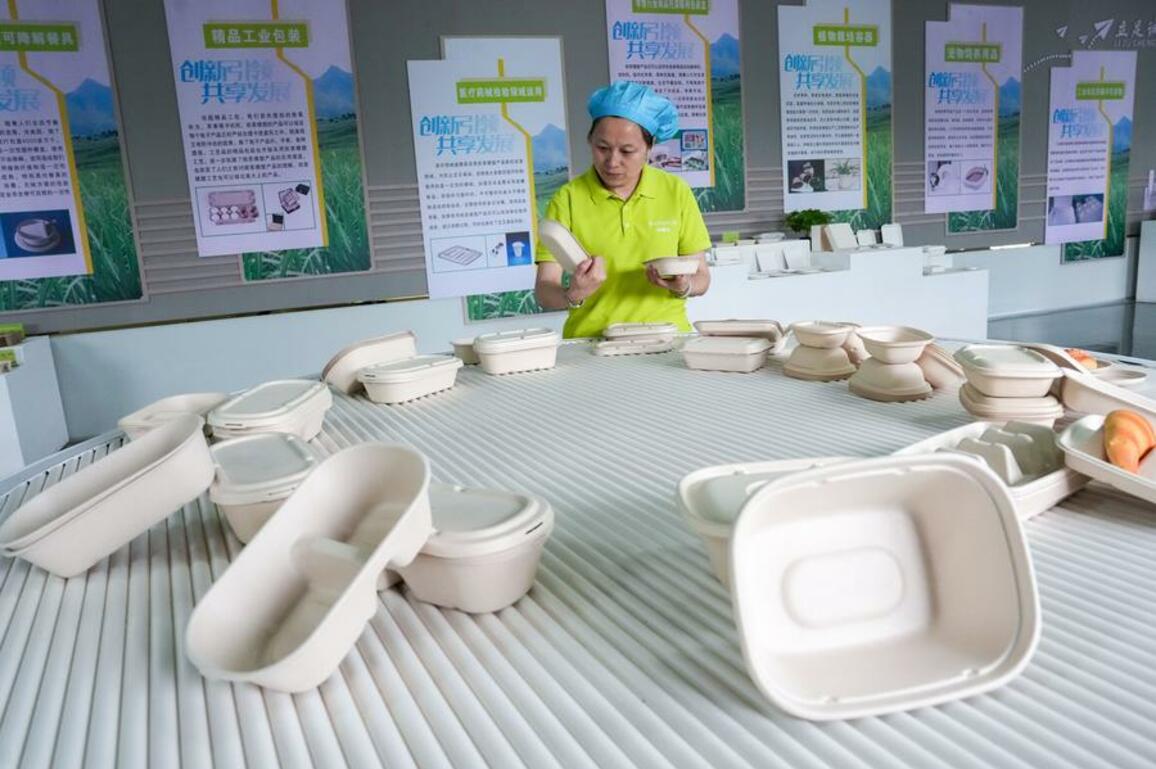 Turning bagasse into treasure, Chinese biodegradable tableware goes global