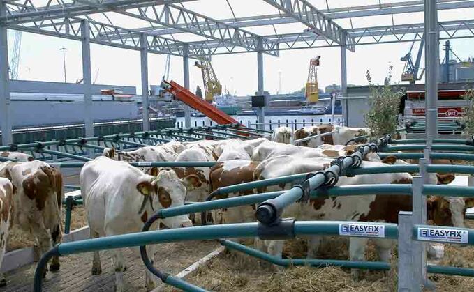 Would the Dutch floating farm model work in the UK?