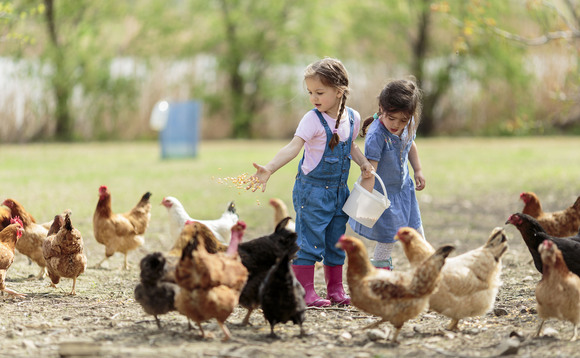 Get farming into schools: Children's futures at risk without food, farming and nature in the classroom