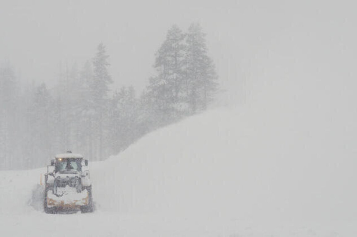 Eight of nine missing skiers found dead in California avalanche