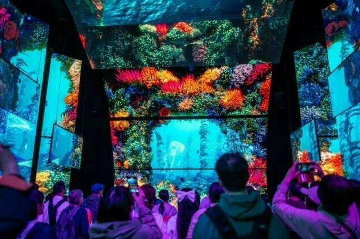 🌟The Bright Side: What's the point of a World Expo