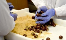 Bridges reaps 2.5x return on sale of Wholebake to Elysian