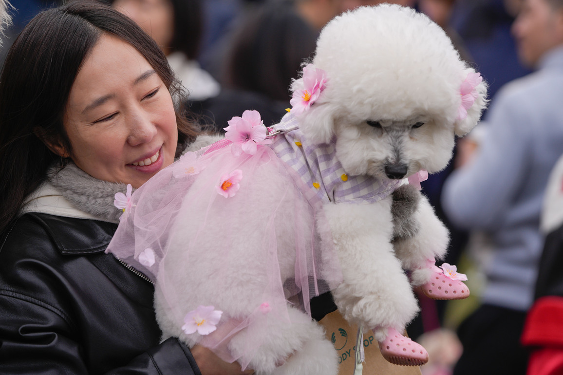 CANADA-VANCOUVER-PET PARADE