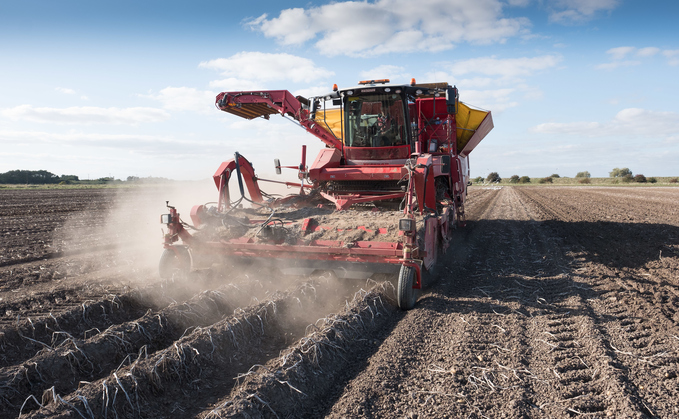 Mixed fortunes are predicted for potatoes after dry spell