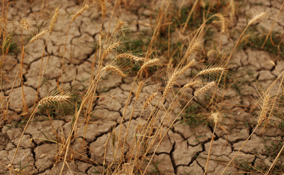 Drought is one of the main drivers of people displacement | Credit: pixelfusion3d Drought is one of the main drivers of people displacement | Credit: pixelfusion3d