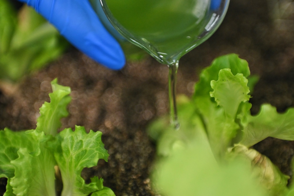 CHINA-SICHUAN-CHENGDU-MICROALGAE-WASTEWATER TREATMENT (CN)