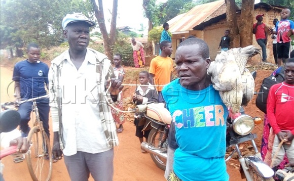 Lubega nga bamukunguzza ekyalo n'enkoko enzibe Lubega nga bamukunguzza ekyalo n'enkoko enzibe