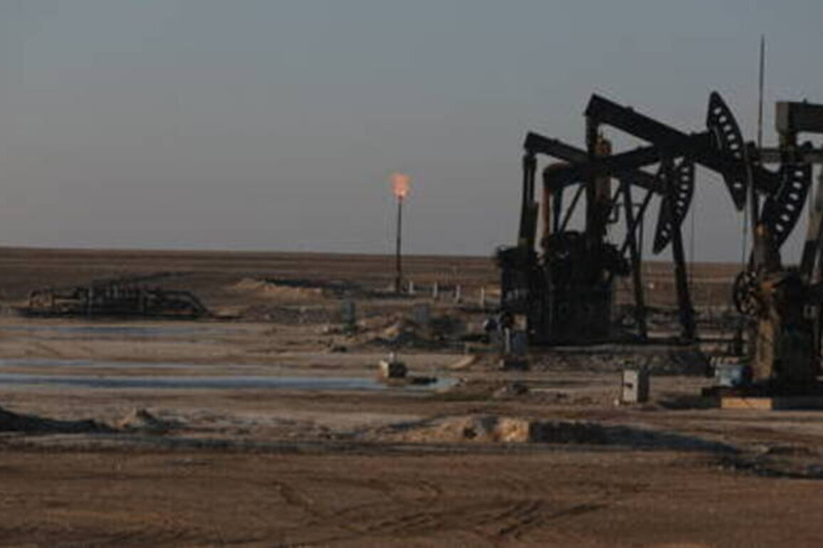 Gulf oil production could stop in weeks - Putin