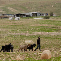 Palestinian 'abducted' and 'restrained' in West Bank (VIDEO)
