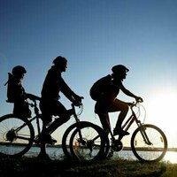 Cycling can be 4 times more efficient than walking. A biomechanics expert explains why