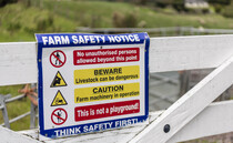 Industry fatalities hit 29 following death of farmer who fell from height