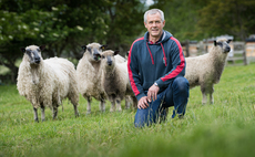 Great Yorkshire Show preview: A celebration of Wensleydale sheep