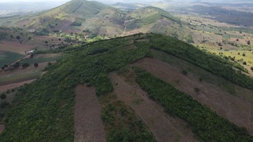 Área do projeto de ouro Pereira Velho, em AL