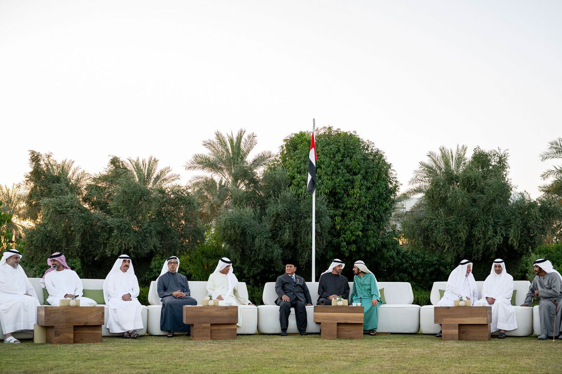 UAE and Indonesia Presidents discuss ways to enhance bilateral ties