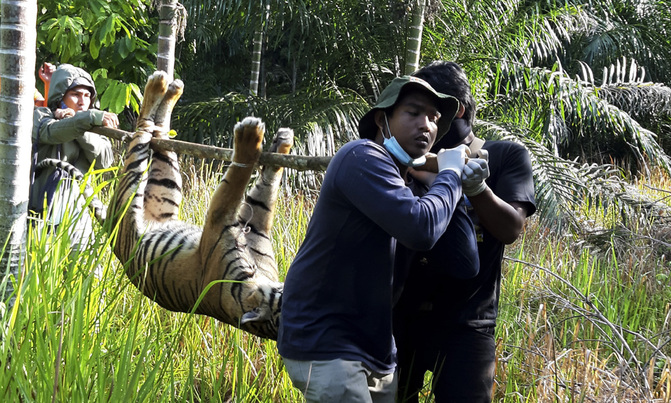 15 offbeat pictures you don't want to miss 15 offbeat pictures you don't want to miss