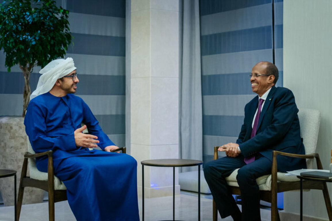 Abdullah bin Zayed receives Chairperson of African Union Commission
