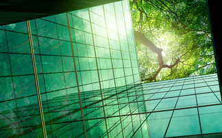 Global survey: Eight in 10 top businesses plan to increase green investments