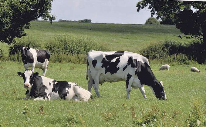 Raw milk gives family farm new future
