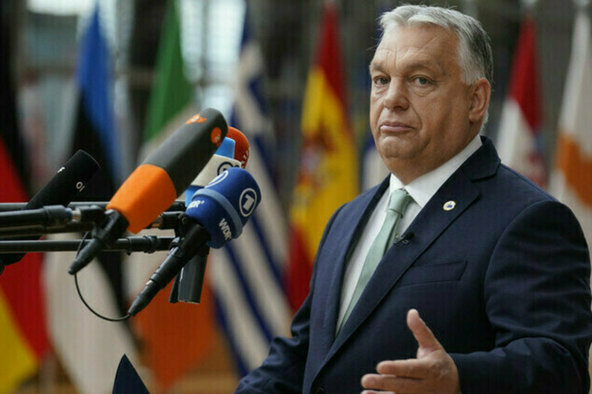 Ukrainian membership of EU would destroy blocs economy  Orban