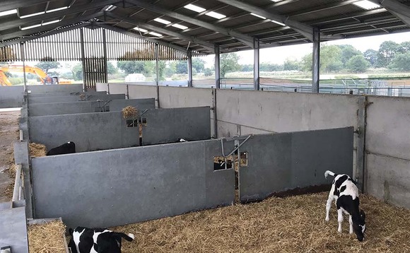 Calf monitoring initiative looks at effects of thermal stress