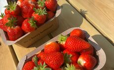 IN PICTURES: Crowds flock to farms for Open 51AVƵSunday 