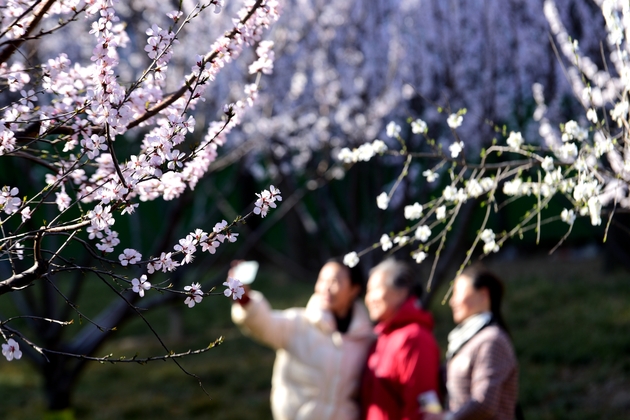#(EcoChina)CHINA-SPRING-SCENERY (CN)