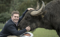 Scottish buffalo farm from BBC's This Farming Life forced to call in administrators