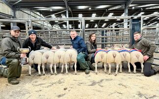   Sales round up:  Lambs to £1,500/head at Carlisle, record calf price at Gisburn, £5,000 raised for charity, dairy record set at Betham
