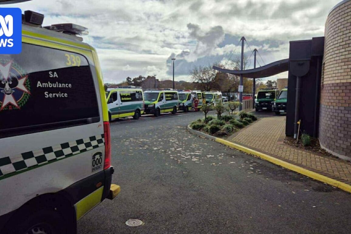 Ambulances queued outside Mount Gambier Hospital 'not ramping', SA premier says