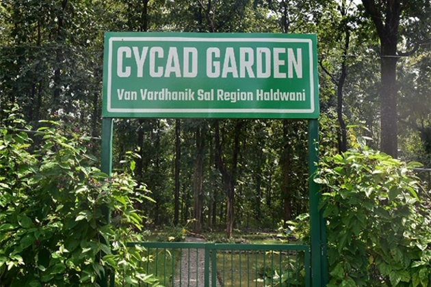 Uttarakhand Forest Department establishes state's first Cycad Garden at Haldwani