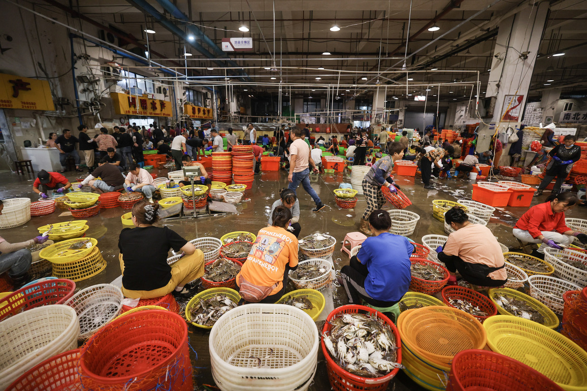 CHINA-ZHEJIANG-ZHOUSHAN-SWIMMING CRABS-HARVEST (CN)