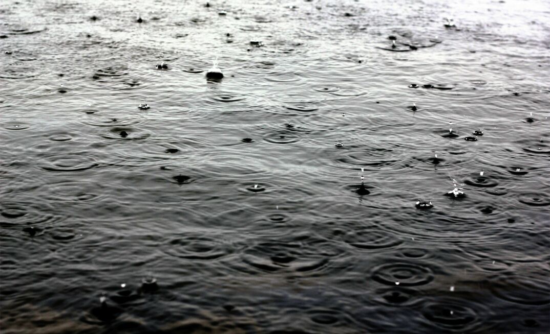 Rain wreaked havoc with Gruyere's March quarter production. Photo courtesy Freeimages