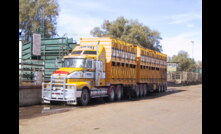  A new online resource has been launched for livestock transport in Victoria.