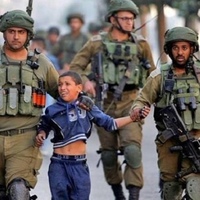'World cannot remain silent,' on Gaza: UN Special Committee