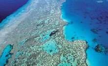 Temperature rise will kill Great Barrier Reef 