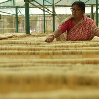 INDIA-TRIPURA-VERMICELLI MAKING
