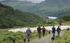 Mountain gather steeped in tradition