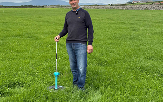 Rotational grazing boosts margins to £1,400/ha on Northern Ireland farm