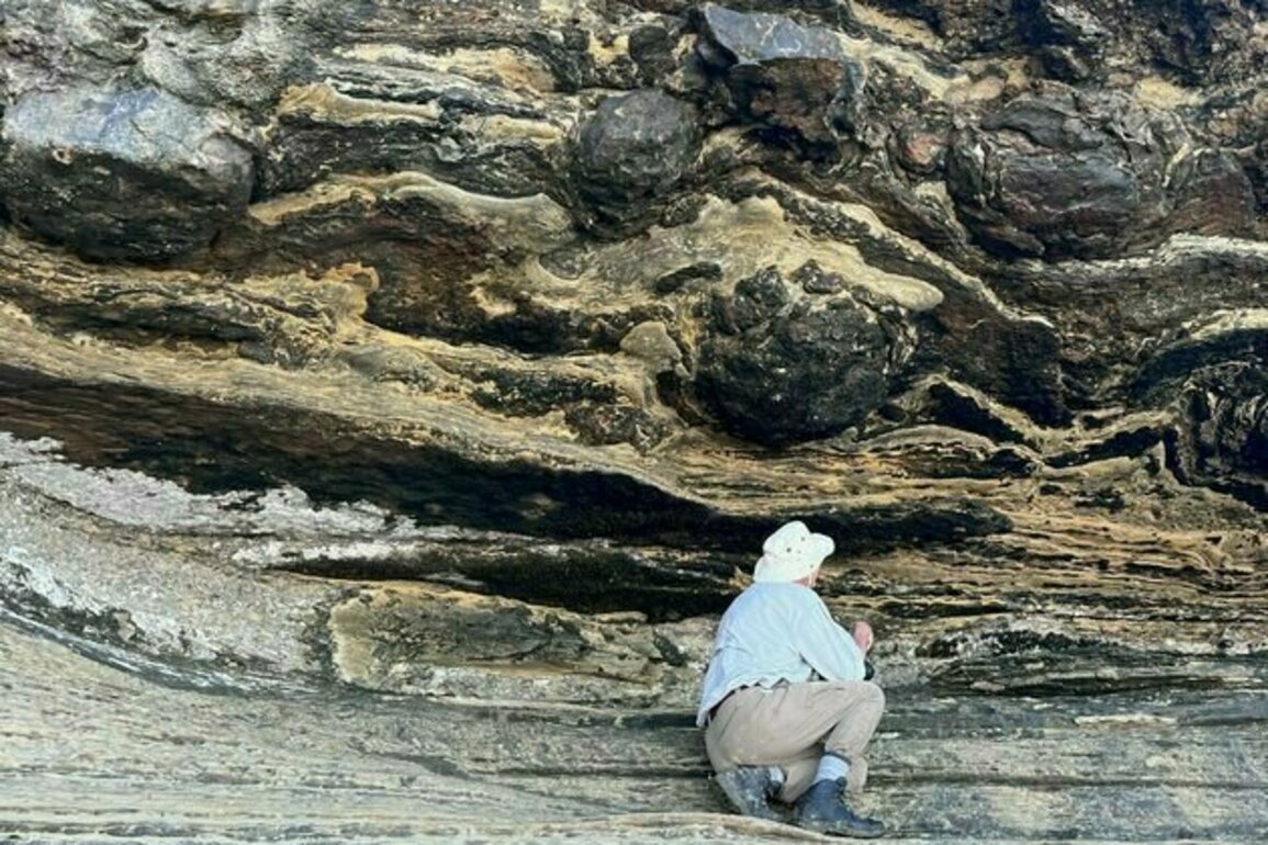 Dinosaur tracks, made 140 million years ago, have been found for the first time in South Africa's Western Cape