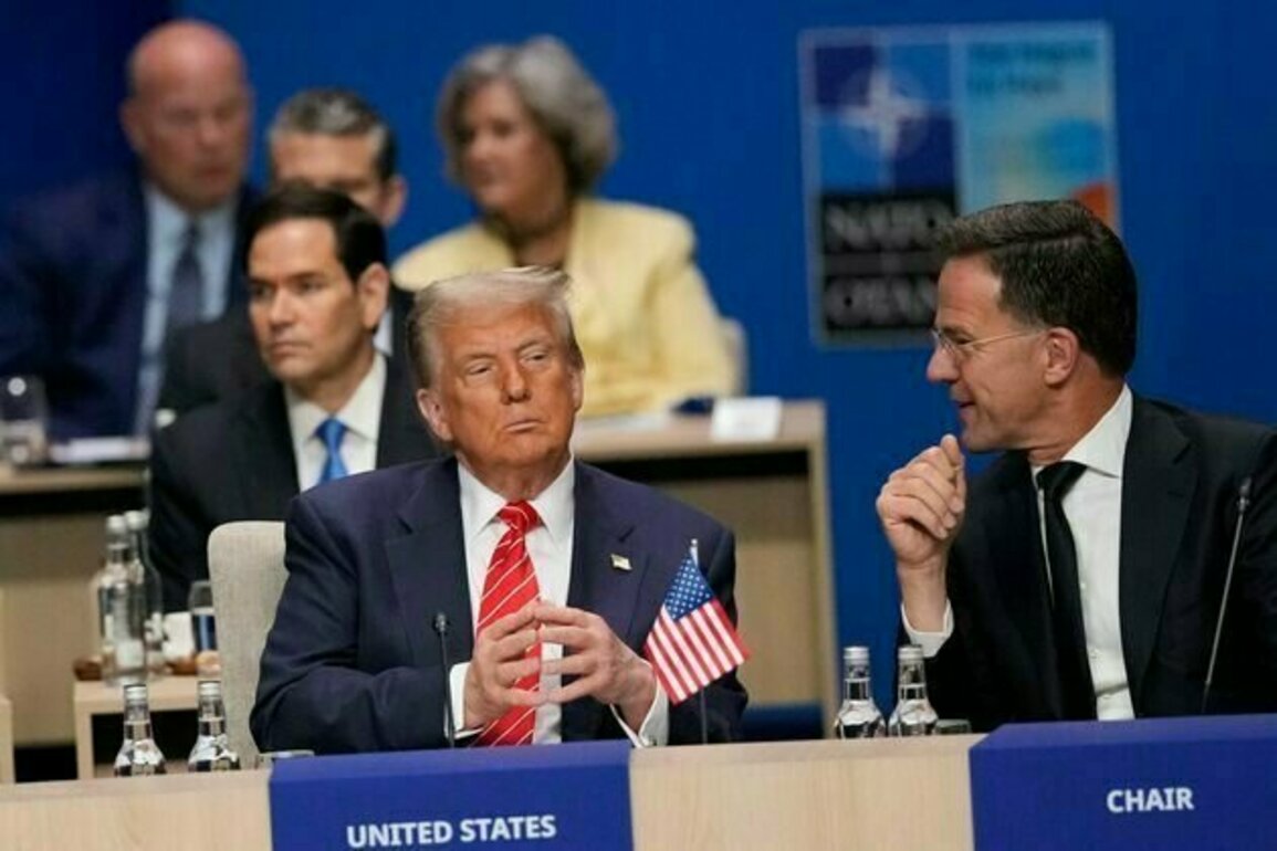 How Nato summit shows Europe and US no longer have a common enemy