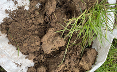 Growers advised to gather detailed soil data to influence spring nutrition requirements