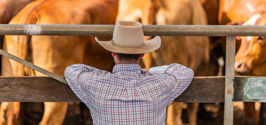 UniSA survey seeks to find out what farmers want when it comes to mental health support. Credit: Lynda Disher, Shutterstock.
