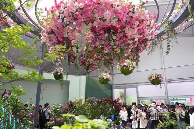 Chinese "space roses" sprout via historic suborbital mission
