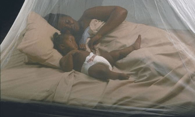 6 arrested for stealing government mosquito nets 6 arrested for stealing government mosquito nets