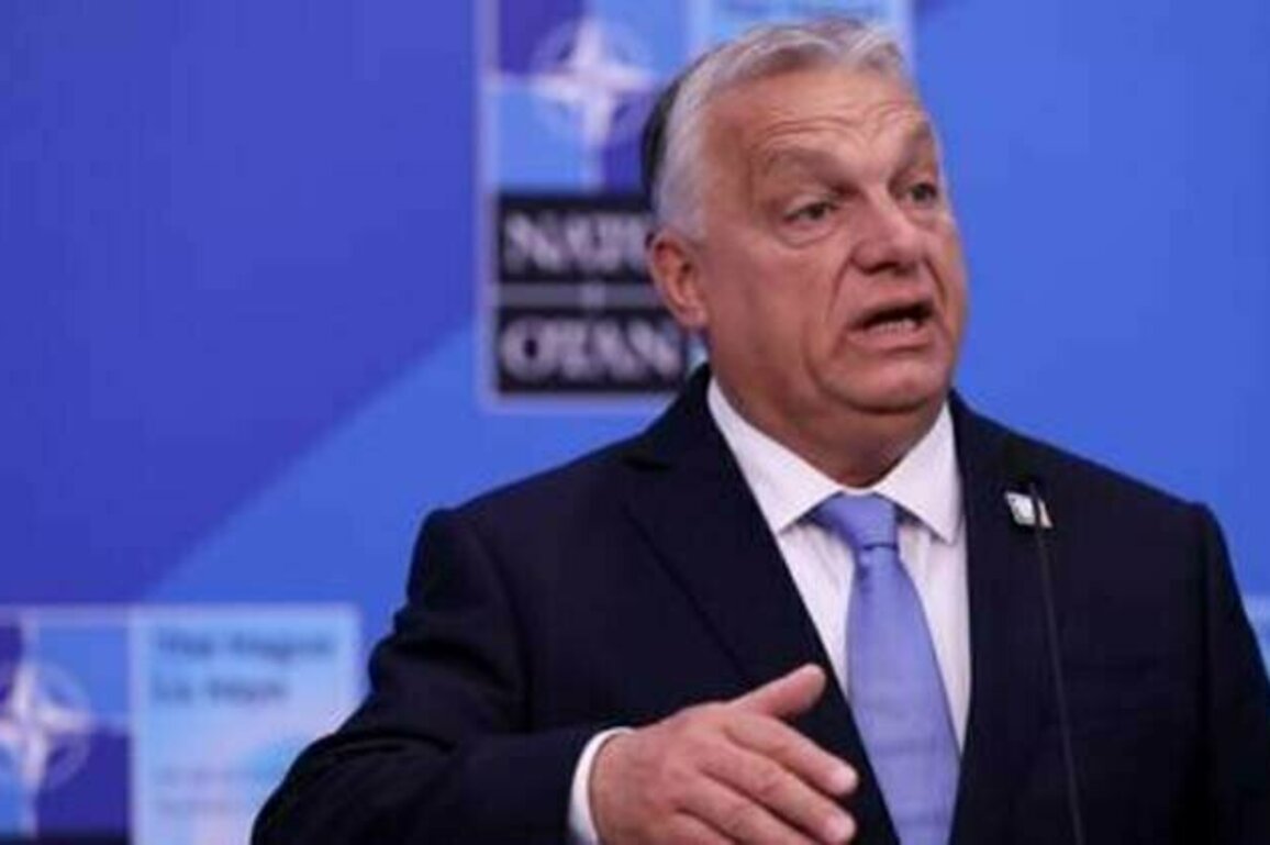 Ukraine and EU 'already lost' - Orban