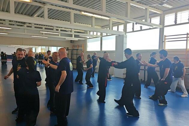From Shandong to Spain: Chinese martial arts inspire cross-cultural exchange