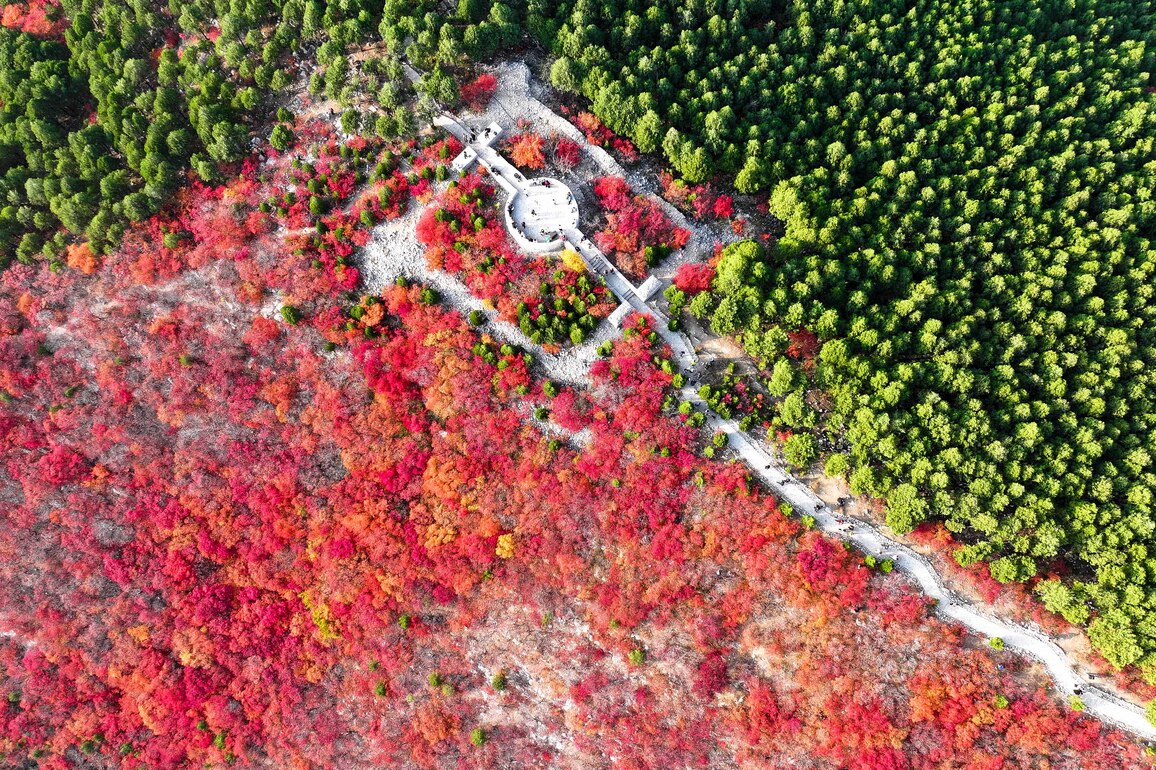 CHINA-SHANDONG-JINAN-AUTUMN VIEW (CN)