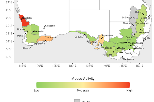 Estimated relative mouse activity in Winter 2026 (June - August) across each GRDC agro-ecological zone (broad regions defined by similar climate, soils, and farming systems).