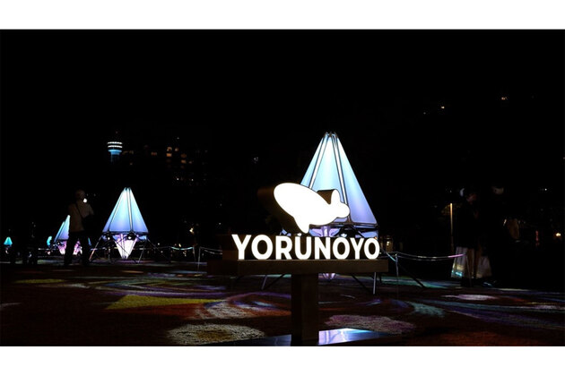Yokohama city shines in winter with acclaimed illumination art